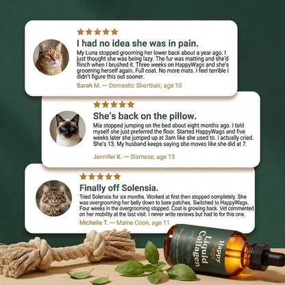 HappyWags Liquid Collagen For Cats