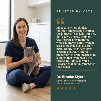 HappyWags AIM